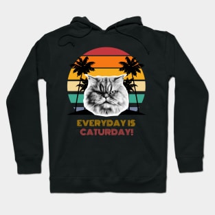 Everyday is Caturday! Hoodie